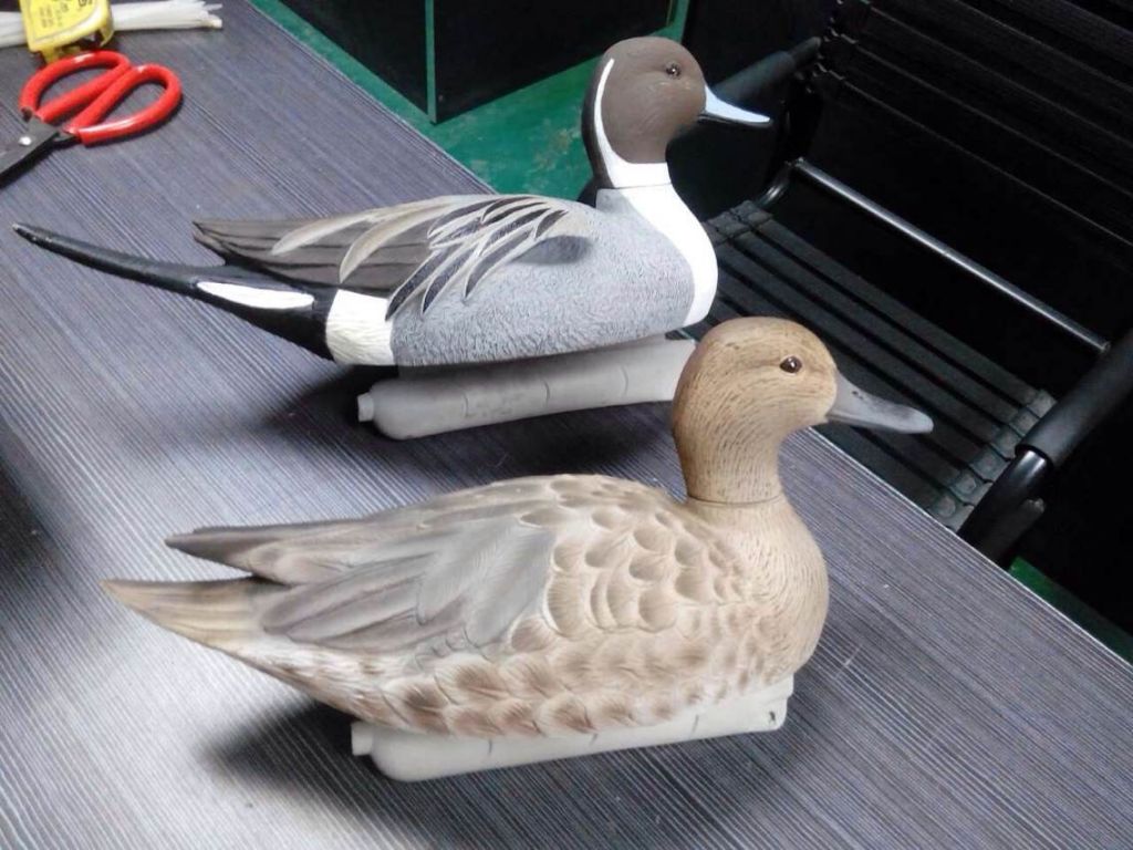 Supply lifelike 15inch pintail decoys, pintail uprights, one carton including 8 drake and 4 hens