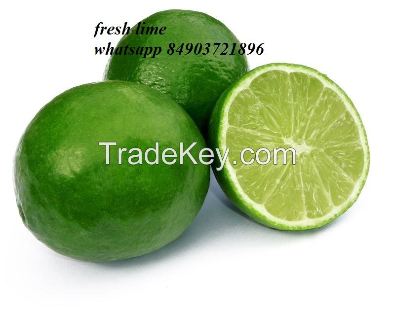 Vietnam fresh Lemons/lLimes whatsapp 84903721896
