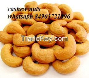 Vietnam nuts/seeds/ cashew nuts/whatsapp 84903721896