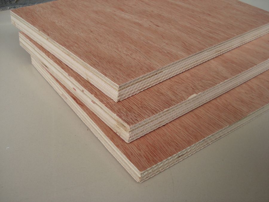 bingtangor F/B plywood 1220x2440mm