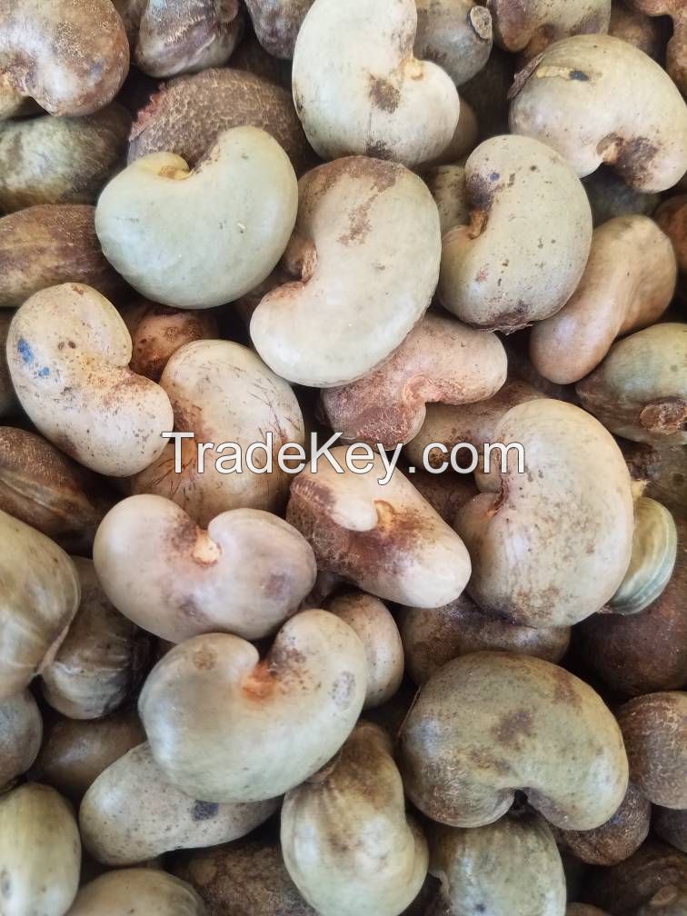 Raw Cashew Nuts