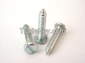 pan head tapping Screws with slot