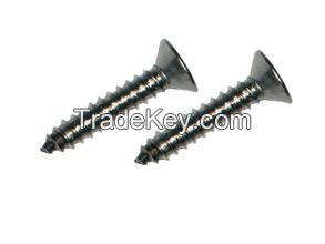 counter sunk flat head tapping Screw with slot