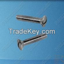 slotted raised countersunk oval head screws