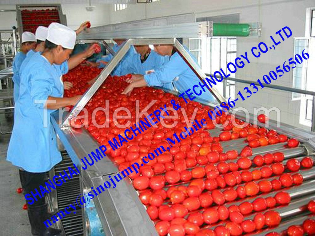 Export Quality Tomato Sauce Making Machine/Tomato Sauce Processing Machine