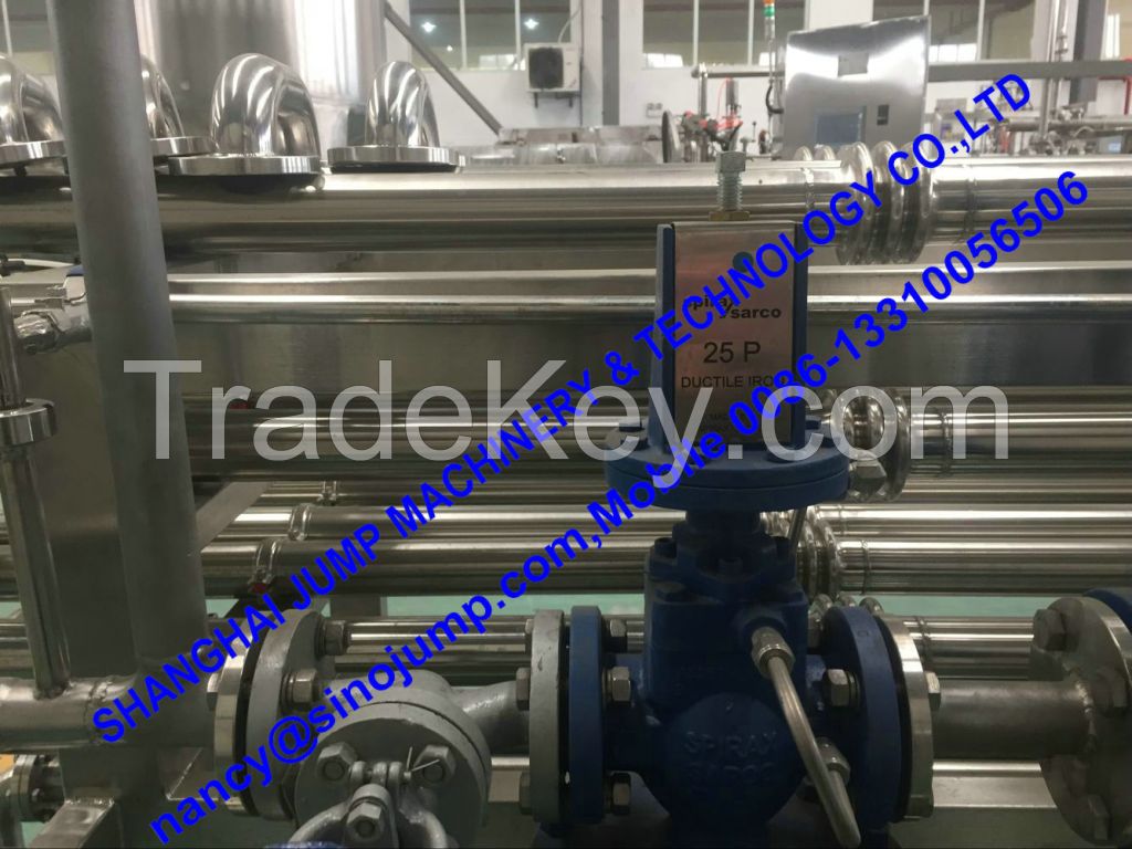 High Capacity Mango Puree Processing Line