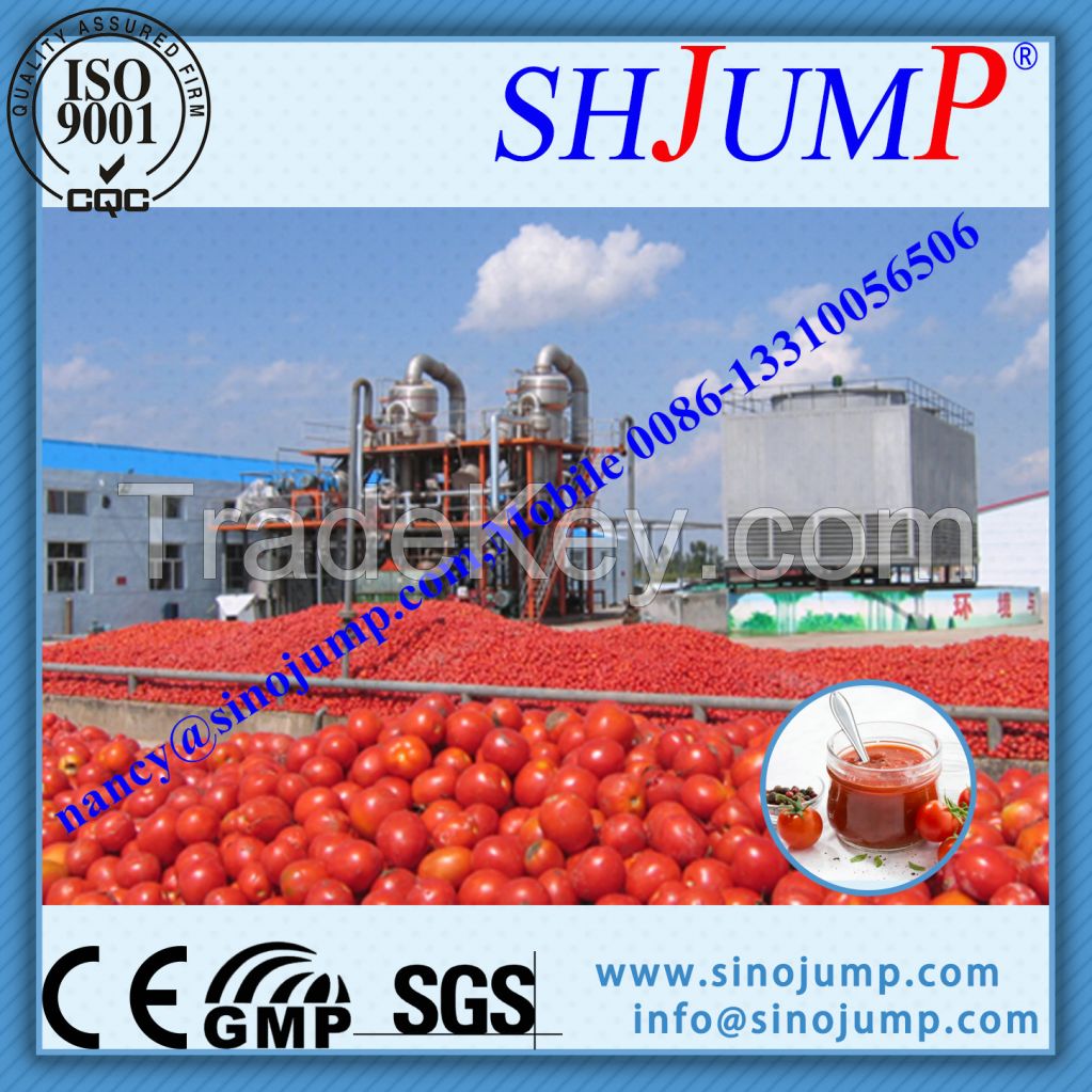 tomato paste processing machinery/tomato paste equipment