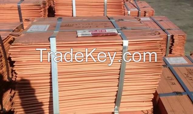 Copper Cathode any quantity