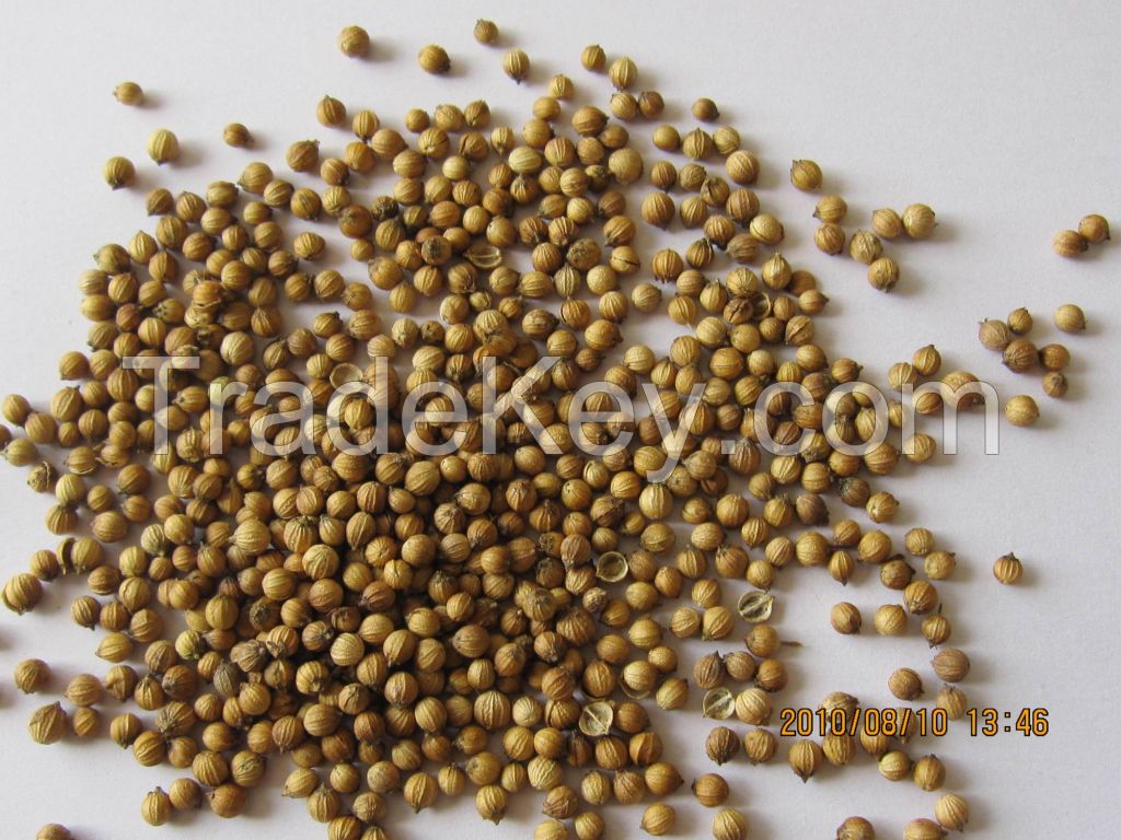 coriander seeds