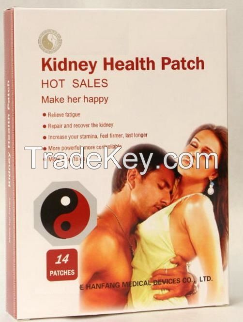 kidney patch