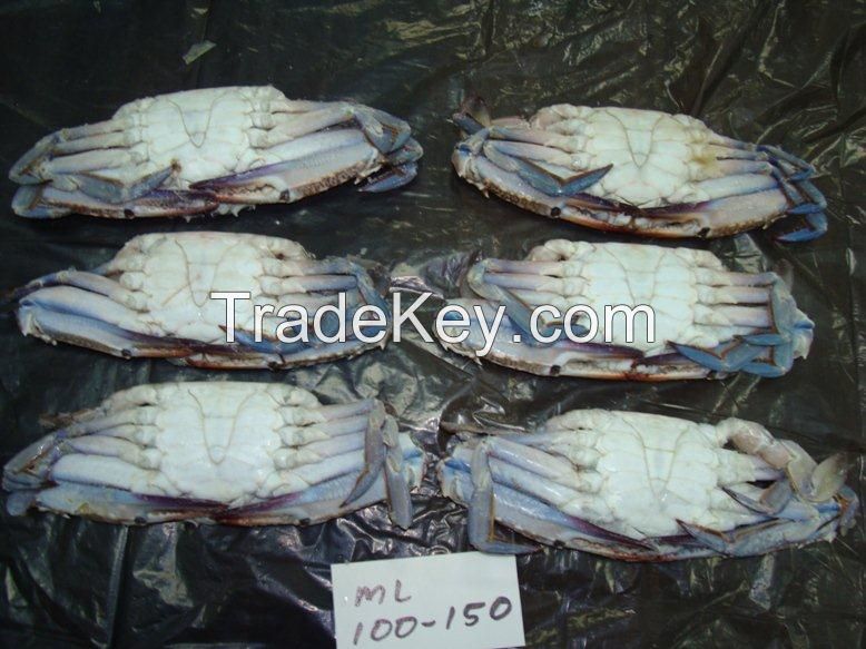 Blue Swimming crab