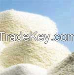 Sell LACTOSE MONOHYDRATE, FOOD GRADE