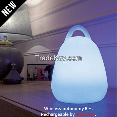 Color Changing PE Rechargeable Hand Lamp