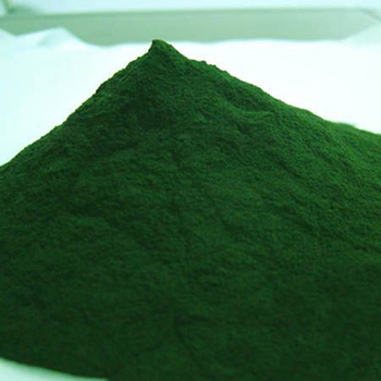 Chlorella Powder