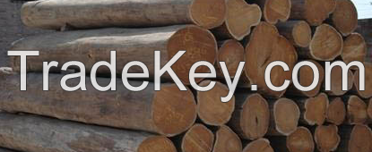 Wooden Teak logs
