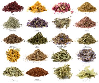 All Kind Of Ayurvedic herbs