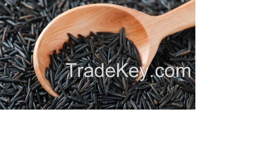 Black Rice