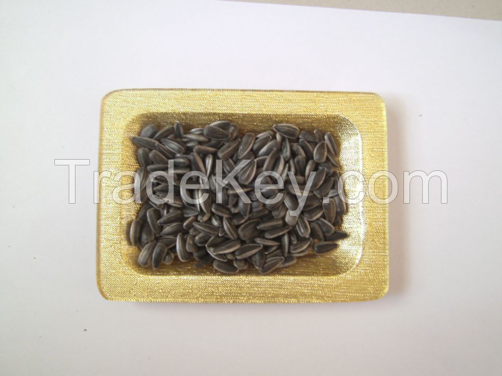 sunflower seeds for oil extraction 562