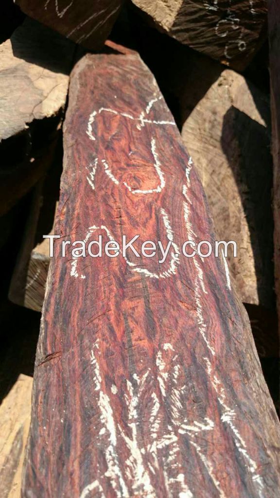 MEXICAN COCOBOLO (DALBERGIA RETUSA) LOGS WITH CITES