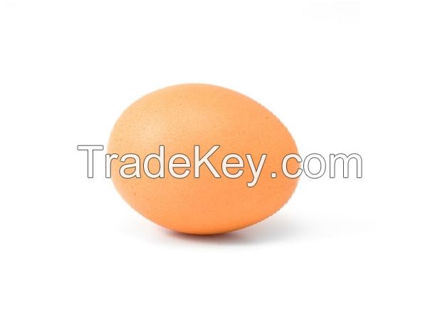 Offer To Sell Farm Fresh Chicken Eggs