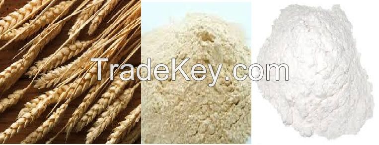 Offer to Sell  Wheat Flour