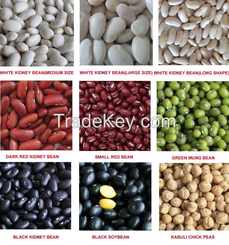 BLACK KIDNEY BEANS/POLISHED BLACK KIDNEY BEANS