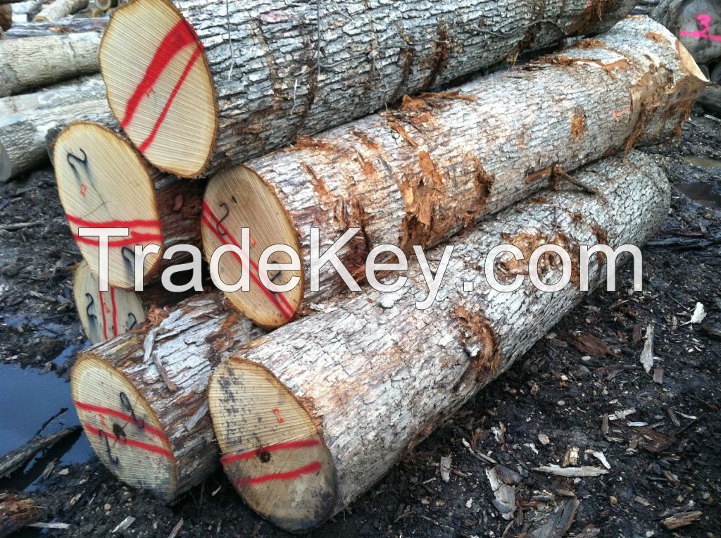 North American Hardwood Logs