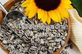 Sunflower Kernels