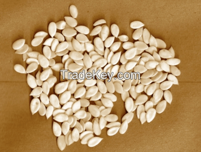 Melon Seeds