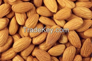 Almond Nuts