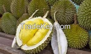 Fresh Durians