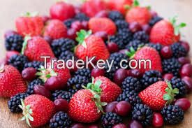 Fresh Berries