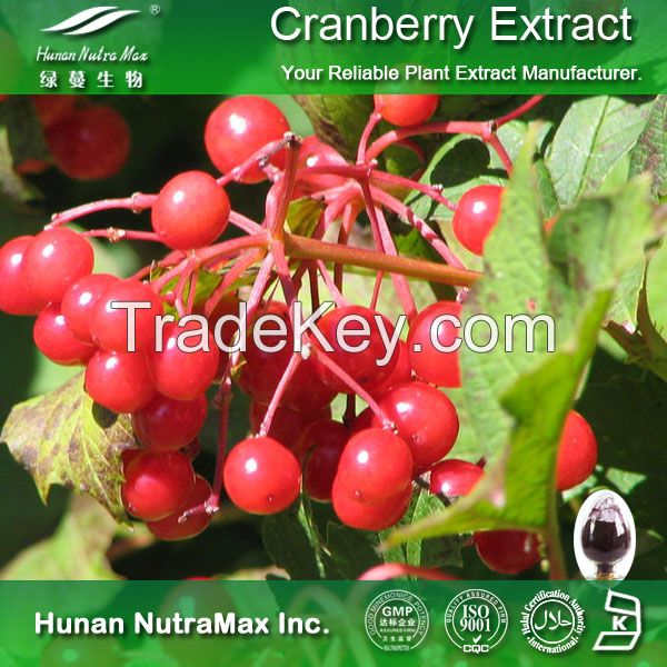 Cranberry Extract Proanthocyanidins