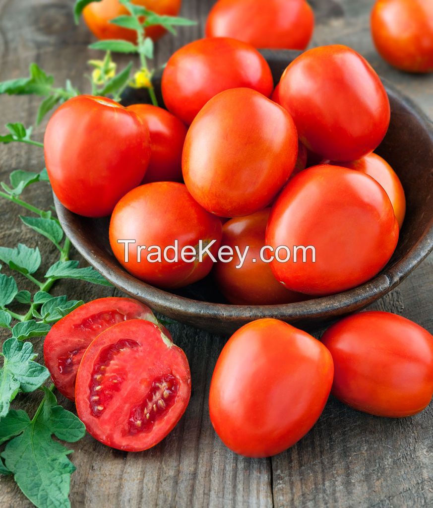 Fresh Tomatoes