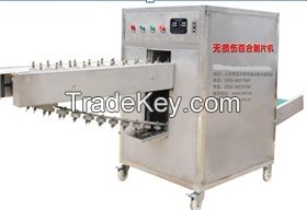 Sell Lilys Root Cutting and Peeling Machine