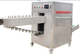 Sell RJY-BB-1 type without damage lilys peeling machine