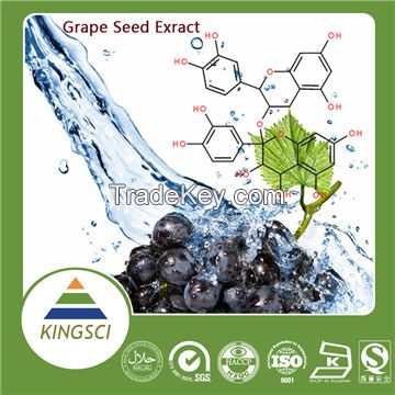 Factory Supply High Quality Grape Seed P.E. Procyanidine Powder