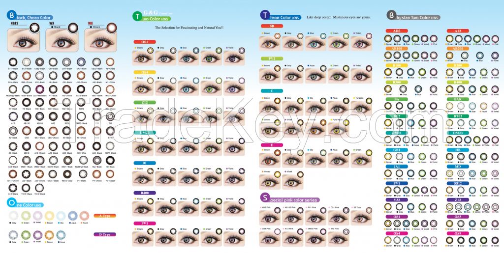 GnG Dueba Korea contact lenses / wholesale /circle lens