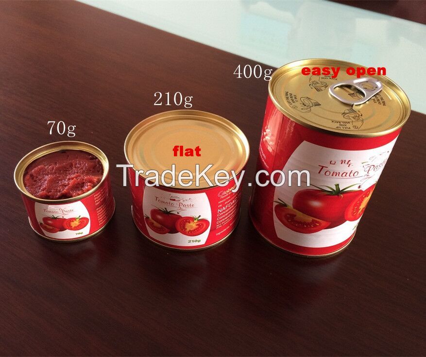 high quality tomato paste