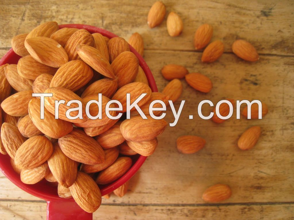 Raw Almonds (In Shell), Almond Flour, Raw Almonds (No Shell), Organic Almonds (Raw, No Shell), Roasted Almonds (Unsalted), , Roasted Almonds (Salted), Organic Wild Apricot Kernels (Sweet), Dark Chocolate Covered Almonds, Jordan Almonds (White), Dark Choco