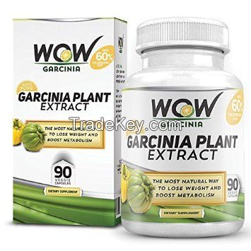 Wow Garcinia Cambogia , 90 Veg Capsules, Pack of 1