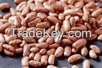 Light Speckled Kidney Beans LSKB