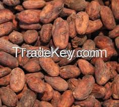 Cocoa Beans