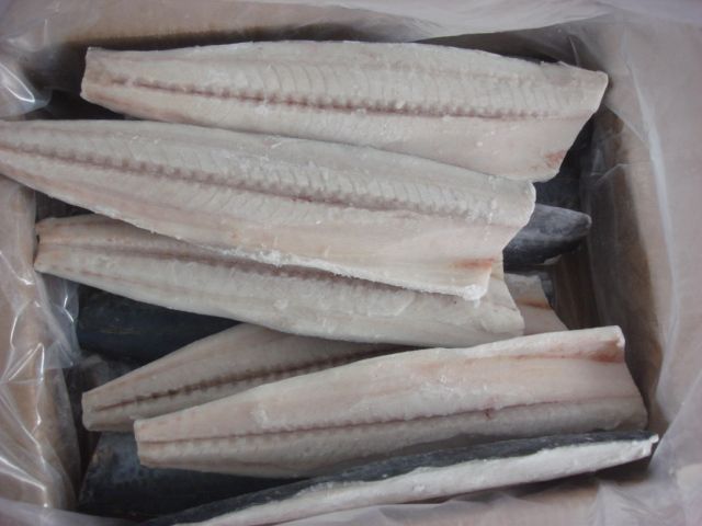 Spanish mackerel fillets (Scomberomorus Niphonius)