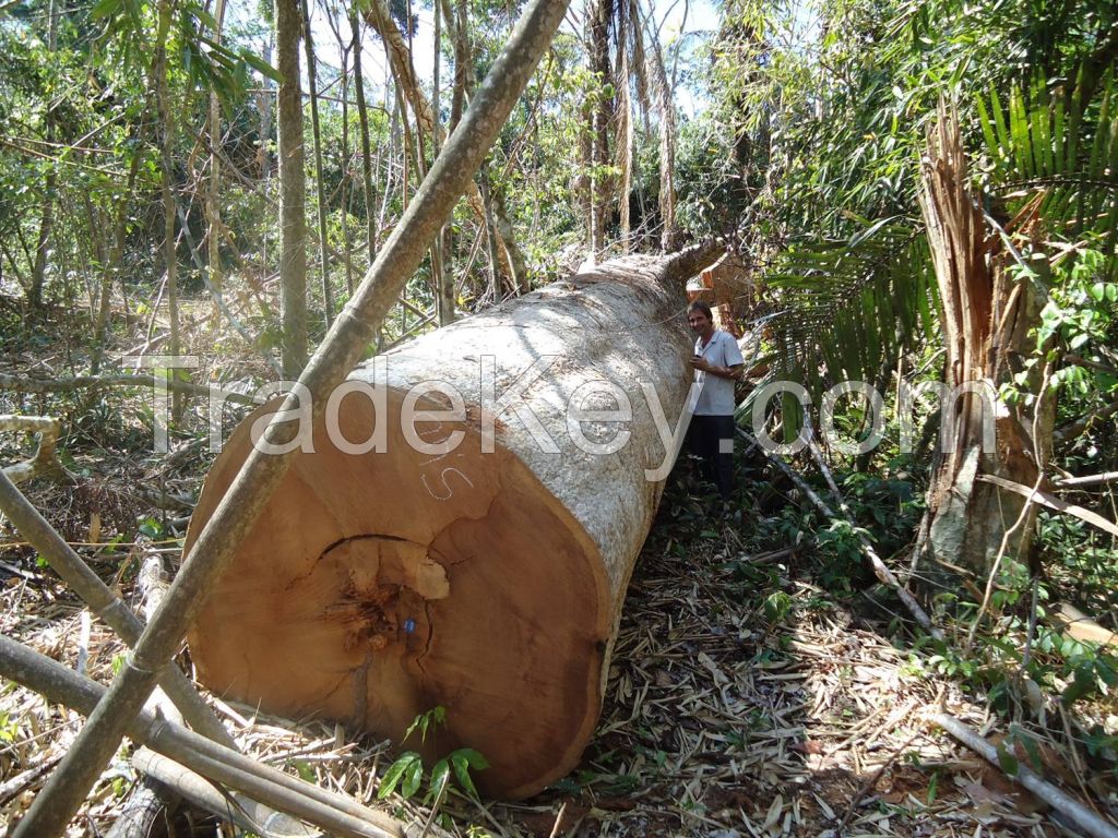 Hardwood and Exotic Wood