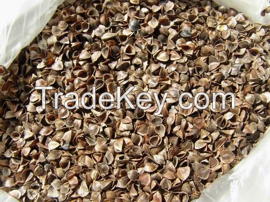 supply buckwheat husk hull