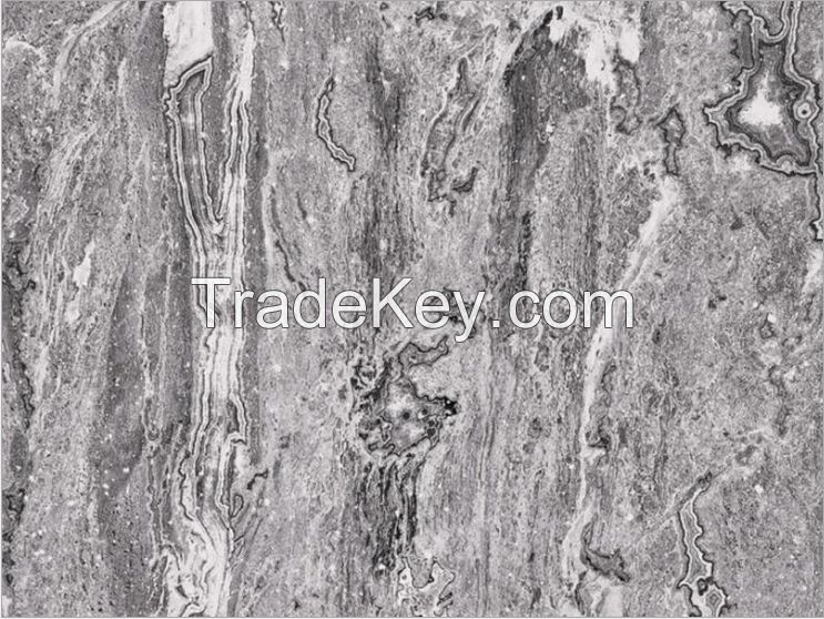 Sell Silver Wave marble slabs and tiles