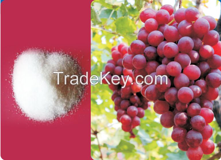 sell Mono Potassium Phosphate MKP0-52-34