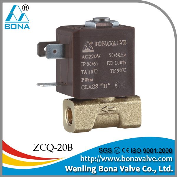 patio heater solenoid valve(ZCQ-20B)