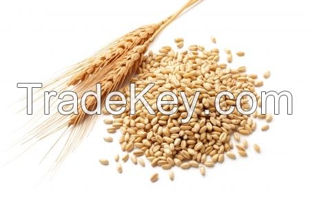 Milling Wheat Grade 1, 2, 3